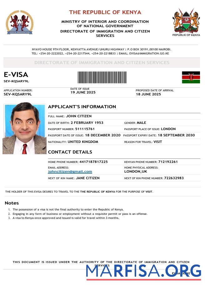 Blank Kenya e visa template in Word and Pdf formats